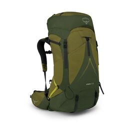 Рюкзак туристичний Osprey Atmos AG LT 65 scenic valley/green peppercorn L/XL (009.3279)
