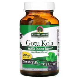 Травы Nature's Answer Готу кола, 950 мг, Gotu Kola, 90 вегетарианских капсул (NTA-16262)