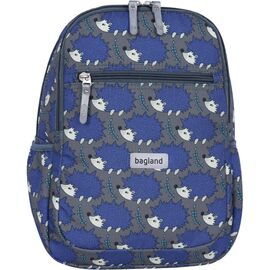 Рюкзак школьный Bagland Young 481 Сублимация 13 л (00510664) (64785617)