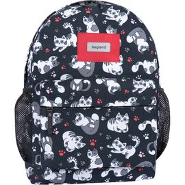 Рюкзак школьный Bagland Молодежный 776 Сублимация 17 л (00533664) (637911206)
