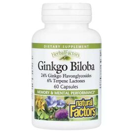 Витаминно-минеральный комплекс Natural Factors Гинкго Билоба, Ginkgo Biloba, 60 капсул (NFS-04532)