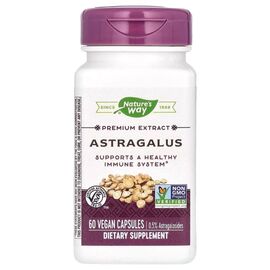 Травы Nature's Way Астрагал, премиум экстракт, Astragalus, Premium Extract, 60 вегетари (NWY-15383)