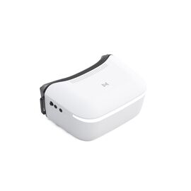 Очки FPV CADDXFPV Walksnail Avatar HD Goggles L (WN02-FP004)