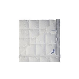 Одеяло Billerbeck пуховое Лилея кассетное К-0 140х205 (0590-10/01)