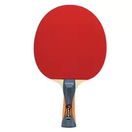 Ракетка для настольного тенниса Gewo Player Thunderball FL (485900001) (931046)
