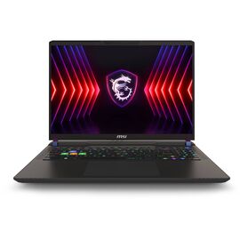 Ноутбук MSI Vector 16 HX (9S7-15M142-813)