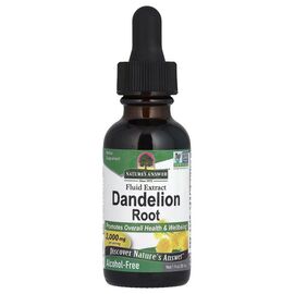 Травы Nature's Answer Одуванчик, экстракт корня без спирта, 2000 мг, Fluid Extract, Dande (NTA-00604)