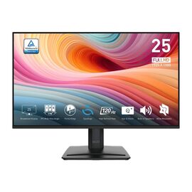 Монитор MSI PRO MP251-E2