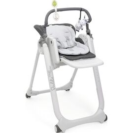 Стульчик для кормления Chicco Polly Magic Relax темно-серый (79502.69)