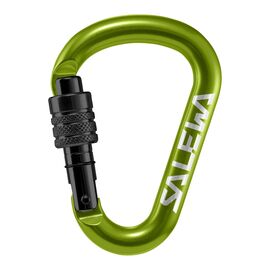 Карабин туристический Salewa HMS Screw G2 1525 5810 - Small - зелений (013.003.1317)
