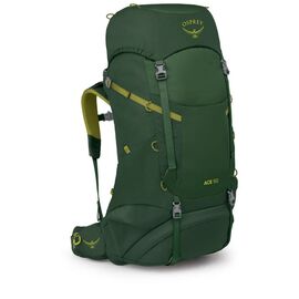 Рюкзак туристический Osprey Ace 50 green canopy - O/S - зелений (009.3886)