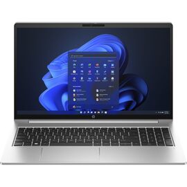Ноутбук HP ProBook 455 G10 (719F6AV_ITM1)