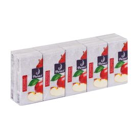 Салфетки косметические Parus Яблоко 2 слоя 10 шт. х 10 пачек (4820044170127)