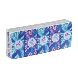 Салфетки косметические Parus 2 слоя 10 шт. х 10 пачек (4820044170110)