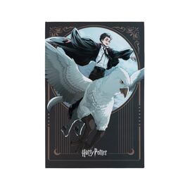 Блокнот Kite Harry Potter A5, 50 листов, клетка (HP25-194-2)