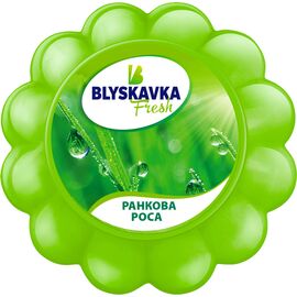 Освежитель воздуха Blyskavka Fresh Гелевый Солнечная мята (4820214190733)