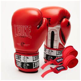 Боксерські рукавички Leone GN208 Iconic Red 12 унцій (GN208_Red_12oz)
