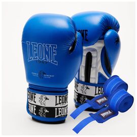Боксерські рукавички Leone GN208 Iconic Blue 10 унцій (GN208_Blue_10oz)
