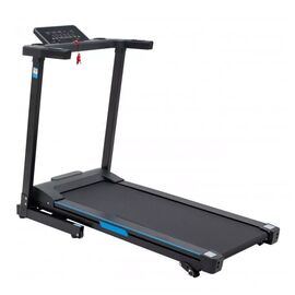 Беговая дорожка Ecofit E-8420