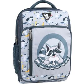 Рюкзак школьный Bagland BL Школяр 8 л. 321 сірий 1516 (00012870) (1123821675)