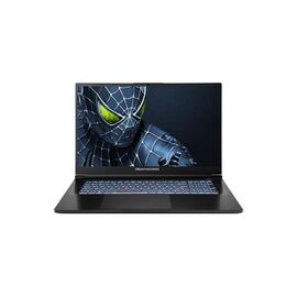 Ноутбук Dream Machines RG5050-17 (RG5050-17UA21)