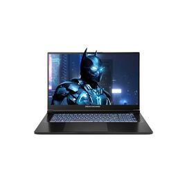 Ноутбук Dream Machines RG5070-17 (RG5070-17UA22)