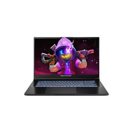 Ноутбук Dream Machines RG5070-17 (RG5070-17UA25)