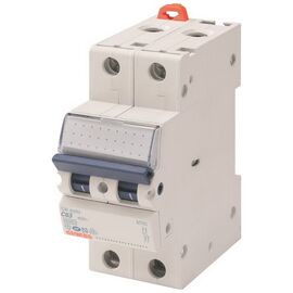 Автоматический выключатель GEWISS 2-п. 63A 6kA С (GW92053)