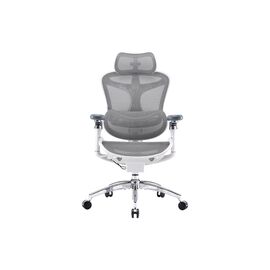 Офисное кресло Sihoo DORO C300 Pro Mesh White (DORO-C300-PRO-M102)