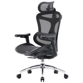 Офисное кресло Sihoo DORO C300L Mesh Black (DORO-C300L-A3-101)