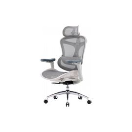 Офисное кресло Sihoo DORO C300L Mesh White (DORO-C300L-A3-102)