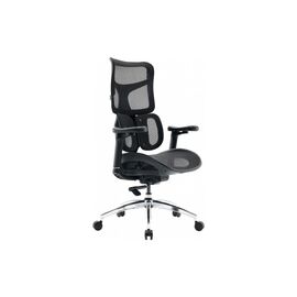 Офисное кресло Sihoo DORO S100 Mesh Black (S100-M301)