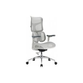 Офисное кресло Sihoo DORO S100 Mesh White (S100-M302)