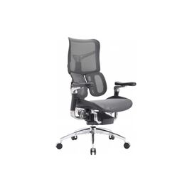 Офисное кресло Sihoo DORO S300 Mesh Dark Grey (S300-M201)