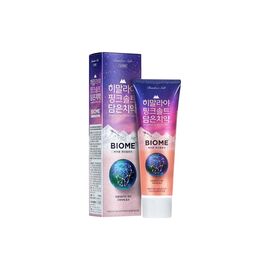 Зубная паста LG Bamboosalt Biome Toothpaste С бамбуковой солью 100 г (8801051109009)