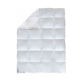 Одеяло Biederlack пуховое кассетное Диана К2 140х205 см (0590-32/01)