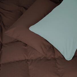 Постільна білизна MirSon 006-003 Menthol/Brown Фланель 2 x 160 x 220 Сімейний Євро (2200009661402)