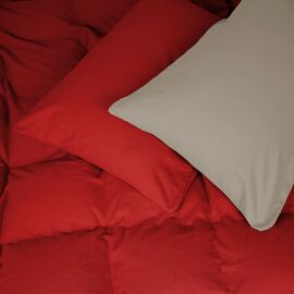 Постельное белье MirSon 004-009 Cappuchino/Red Фланель 2 x 160 x 220 Семейный Евро (2200009658983)