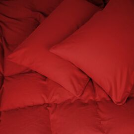 Постільна білизна MirSon 009 Red Фланель 175х210 Двоспальний (2200009651649)