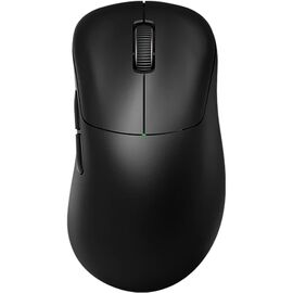 Мышка RAWM ER21 Wireless/Bluetooth Black (ER21.black)