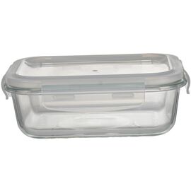 Пищевой контейнер Ecomo Thermo Box прямокутний 620 мл (3RC065-LL)