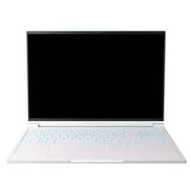 Ноутбук Thunderobot RS16 (RS16-I9139HX56E1Q240ARC)