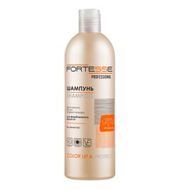 Шампунь Fortesse Professional Color Up & Protect Для окрашенных волос Стойкость цвета 400 мл (4820000307376)