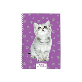 Блокнот Maxi А5, пластикова обкладинка, спіраль, 60 арк., клітинка (MX21213-10)