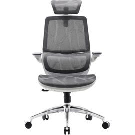 Офісне крісло Sihoo M59AS Mesh Gray (M59AS-M301)