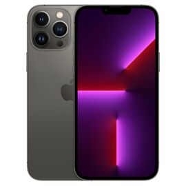 Мобильный телефон Apple iPhone 13 Pro Max 256Gb Graphite (Grade A) USED (iP13PM25Gra_A)