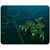 Коврик для мышки Razer Goliathus Mobile small (RZ02-01820200-R3M1) Коврик для мышки Razer Goliathus Mobile small (RZ02-01820200-R3M1)