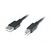 Кабель для принтера USB2.0 AM/BM 3.0m Pro black REAL-EL (EL123500027) Кабель для принтера USB2.0 AM/BM 3.0m Pro black REAL-EL (EL123500027)