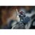 Фигурка для геймеров Jazwares Roblox Core Figures Mad Games: Adam (10794R), изображение 3 Фигурка для геймеров Jazwares Roblox Core Figures Mad Games: Adam (10794R), изображение 3