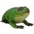 Фигурка Lanka Novelties Жаба зеленая древесная 22 см (21554), изображение 2 Фигурка Lanka Novelties Жаба зеленая древесная 22 см (21554), изображение 2